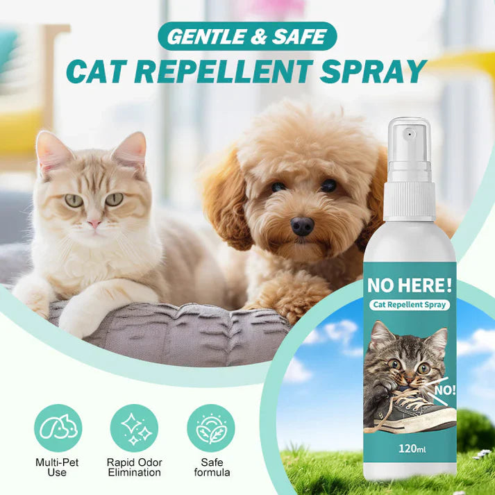 Cat Repellent Spray for Indoor Use Main image